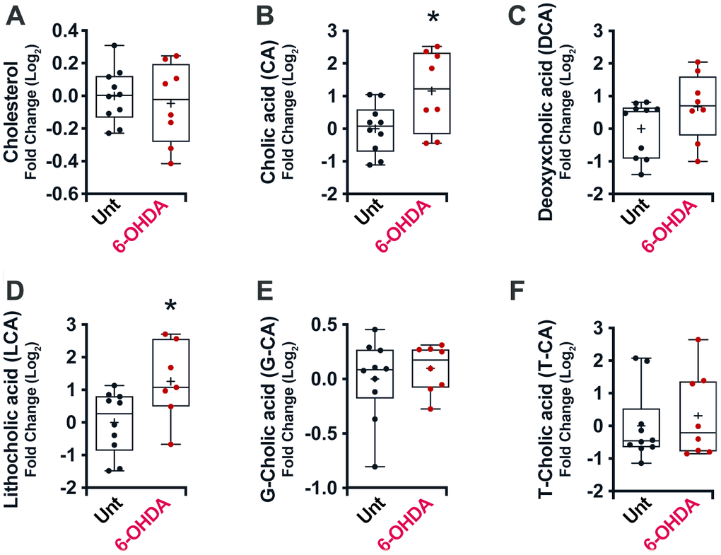 Box and whisker plots and graphs with average ± SEM of fold change (Log2) concentrations of cholesterol (A), CA (B), DCA (C), LCA (D), G-CA (E) and T-CA (F) in PD-mouse model. Abbreviations: 6-OHDA, 6-hydroxydopamine; CA, cholic acid; DCA, deoxycholic acid; G, glycine; LCA, lithocholic acid; PD, Parkinson’s disease; T, taurine; Unt, untreated.