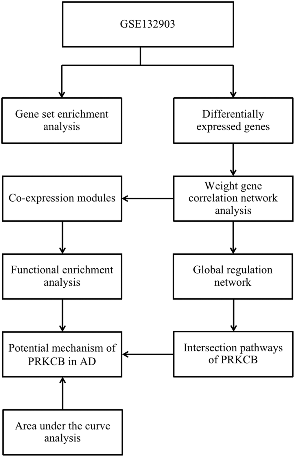 The roadmap of the present study. AD: Alzheimer’s disease.