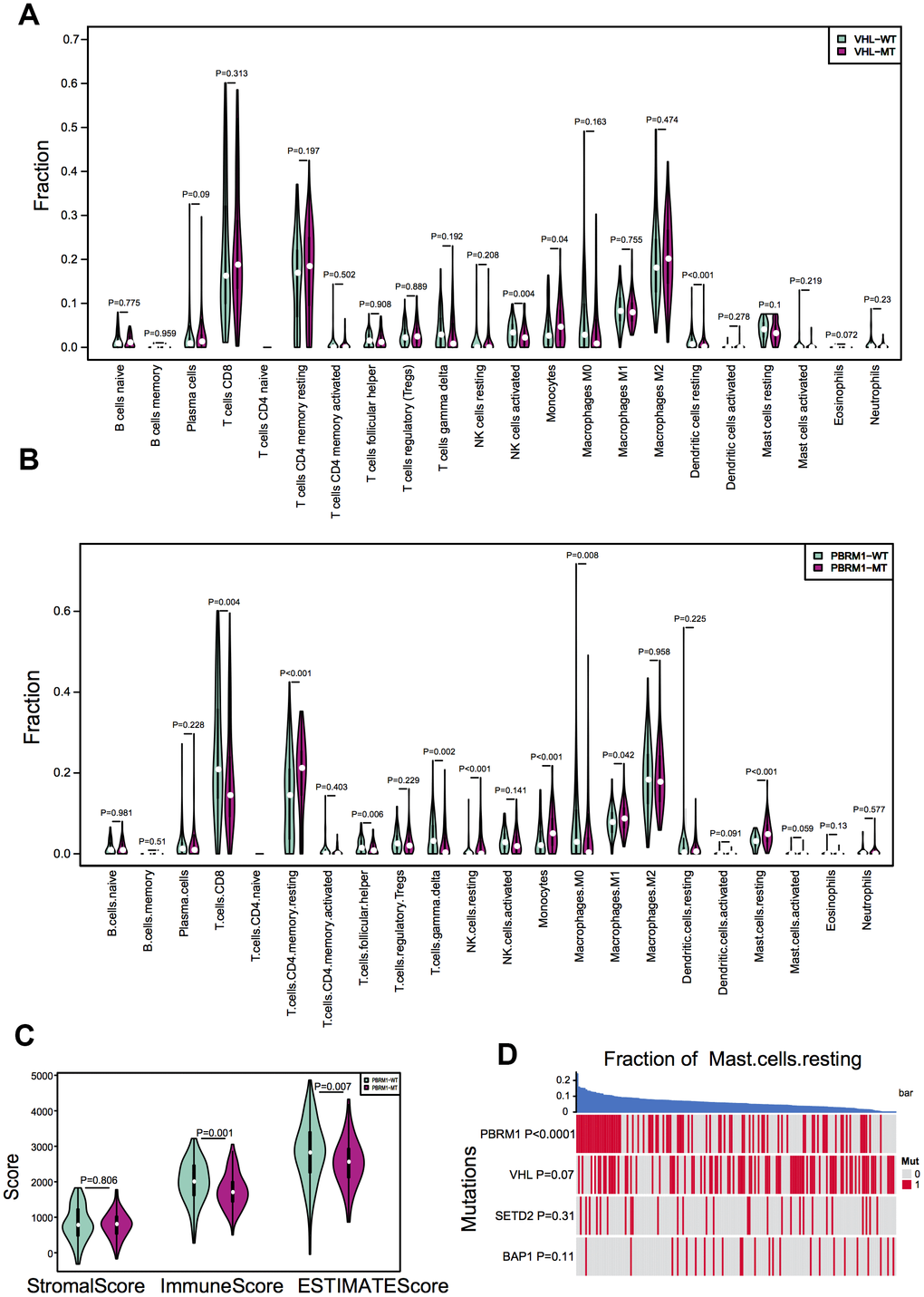 PBRM1 mutations alter immune cell infiltration patterns in ccRCC samples. (A) Violin plots show different patterns of immune cell infiltration patterns in VHLWT (90) and VHLMUT (94) patients from the TCGA KIRC database. (B) Violin plots show different immune cell infiltration patterns in PBRM1WT (97) and PBRM1MUT (81) patients from the TCGA KIRC database. (C) Violin plots show stromal and immune purity scores from the ESTIMATE algorithm analyses for PBRM1WT and PBRM1MUT patients in the TCGA KIRC database. (D) Heatmap shows the mast cell infiltration status in PBRM1MUT, VHLMUT, SETD2MUT and BAP1MUT ccRCC patients from the TCGA KIRC database.