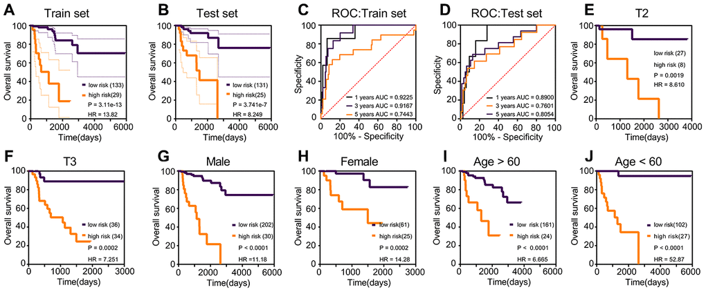 Kaplan–Meier and ROC curves for risk score in the training set, test set and subgroups. (A) The log-rank test p in training set was 3.11e-13, HR = 13.82. (B) The log-rank test p in test set was 3.741e-7, HR = 8.249. (C) The 1-year AUC of risk score in the training set was 0.9225; the 3-year AUC of risk score in the training set was 0.9167. (D) The 1-year AUC of risk score in the training set was 0.8900; the 3-year AUC of risk score in the training set was 0.7601. (E–J) The subgroups Kaplan–Meier analysis of risk score.