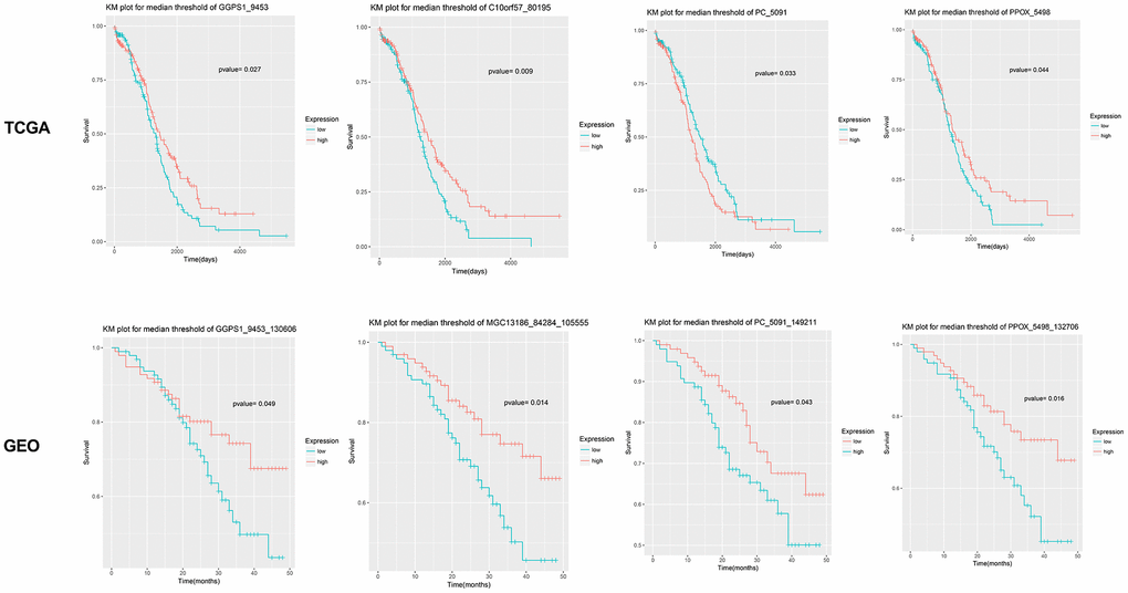 Survival curve for four candidate genes closely related with the prognosis of epithelial ovarian cancer. Results show that GGPS1, NTPCR (also known as C1orf57 or MGC13186), PC, and PPOX are significantly associated with the prognosis of epithelial ovarian cancer. The survival curves based on TCGA and GSE49997 datasets are listed, separately.