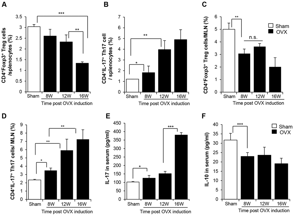 OVX-induced bone loss enriches of Th17, decreasing Treg in lymphoid organ. The pool of (A, C) CD4+Foxp3+ Treg cells and (B, D) CD4+IL17+ Th17 cells in splenocytes and MLN were analyzed by FACS. (E, F) IL-17 and IL-10 in serum were quantitatively analyzed by ELISA. p values of less than 0.05 were considered statistically significant (* p 