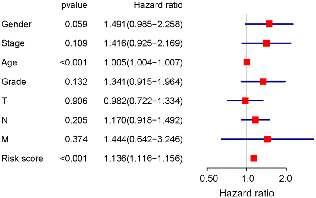 Prognostic value of the final prognostic signature adjusted by clinical parameters.