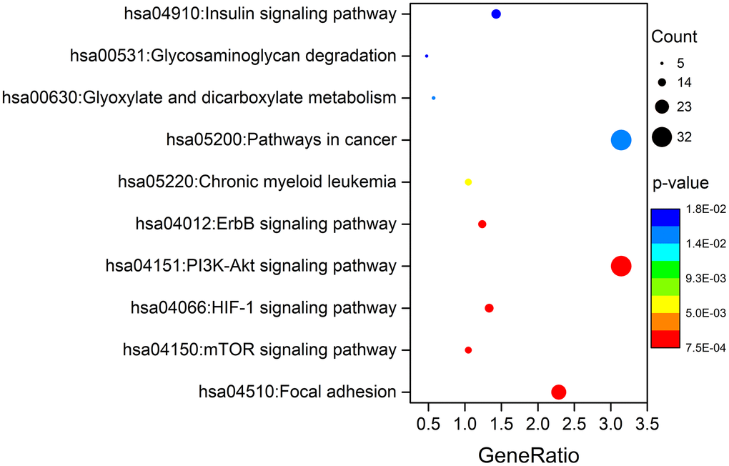 KEGG pathway analysis of genes with survival-associated AS events.