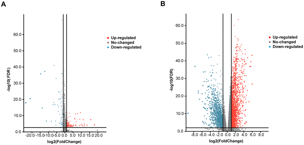 Volcano plot of the differentially expressed mRNAs and lncRNAs between HNSCC and para-carcinoma tissues. Red indicates high expression, and blue indicates low expression (|log2FC| > 1 and P value P values, and the X axis represents log2FC values. The RNAs studied in this article have been marked in the figure. (A) Volcano plot of the differentially expressed lncRNAs. (B) Volcano plot of the differentially expressed mRNAs.