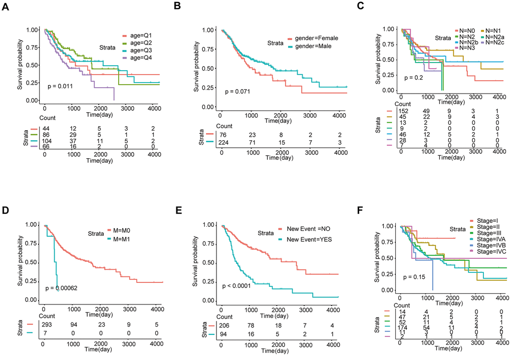 Screening of prognosis-related clinical characteristics by Kaplan-Meier analysis. (A) Kaplan-Meier curves based on different age groups, where Q1, Q2, Q3, and Q4 represent quartiles. (B) Kaplan-Meier curves based on gender. (C) Kaplan-Meier curves based on different N stages. (D) Kaplan-Meier curves based on different M stages. (E) Kaplan-Meier curves based on new events. (F) Kaplan-Meier curves based on different tumor stages.