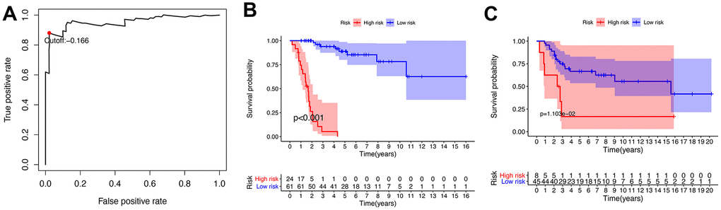 Establishment and verification of IRGP signature. (A) Time-dependent ROC curve for IRGP signature in the TCGA cohort. The optimal cut-off value of IRGP signature is -0.166, and patients are divided into high-risk group and low-risk group according to the cut-off value (B) Kaplan–Meier curves of overall survival according to IRGP signature groups in the TCGA cohort. (C) Kaplan–Meier curves of overall survival according to IRGP signature groups in the GSE21257 cohort.