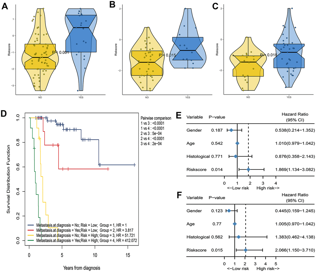 Assess the correlation between IRGP signature and metastasis status. (A) Box violin plot of the relationship between the metastasis status at diagnosis and the IRGP signature value in the TCGA cohort. (B) Box violin plot of the relationship between the metastasis status at diagnosis and the IRGP signature value in the GSE21257 cohort. (C) Box violin plot of the relationship between the metastasis status within 5 years and the IRGP signature value in the GSE21257 cohort. (C) Kaplan–Meier curves of overall survival for patients in TCGA cohort stratified by both IRGP signature, and metastasis status. (D) Forest plot of univariate Cox regression results between various variables and tumor metastasis in the GSE21257 cohort. (E) Forest plot of univariate Cox regression results between various variables and tumor metastasis in the GSE21257 cohort. (F) Forest plot of multivariate Cox regression results between various variables and tumor metastasis in the GSE21257 cohort.