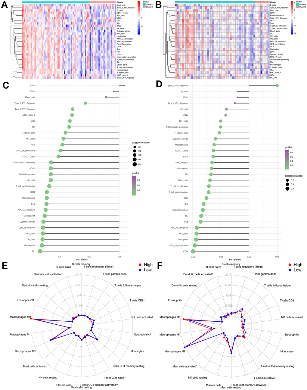 Assess the relationship between immune microenvironment and IRGP signature. (A) Heat map of results of single sample gene set enrichment analysis in TCGA cohort. (B) Heat map of results of single sample gene set enrichment analysis in GSE21257 cohort. (C) Relationship between 29 immune-related gene sets and IRGP signature values in TCGA cohort. (D) Relationship between 29 immune-related gene sets and IRGP signature values in GSE21257 cohort. (E) Radar chart of the relationship between 22 immune cell infiltration and IRGP signature grouping in TCGA cohort. (F) Radar chart of the relationship between 22 immune cell infiltration and IRGP signature grouping in GSE21257 cohort.