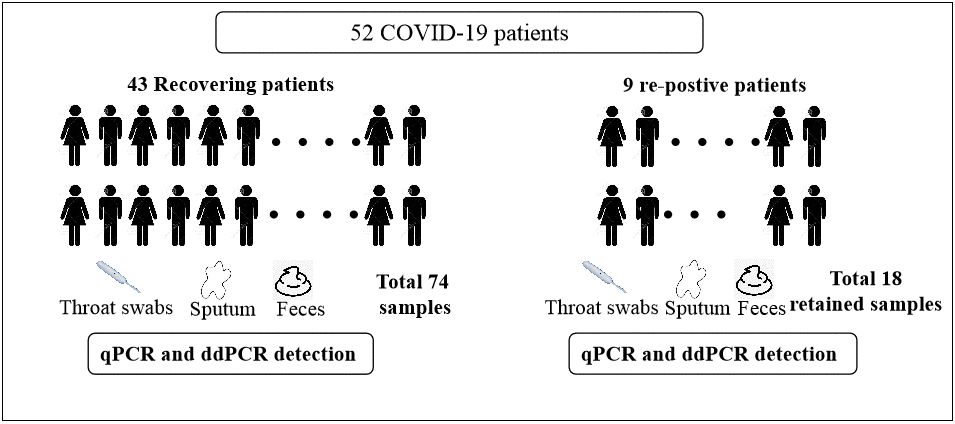 Flow diagram of the study population.