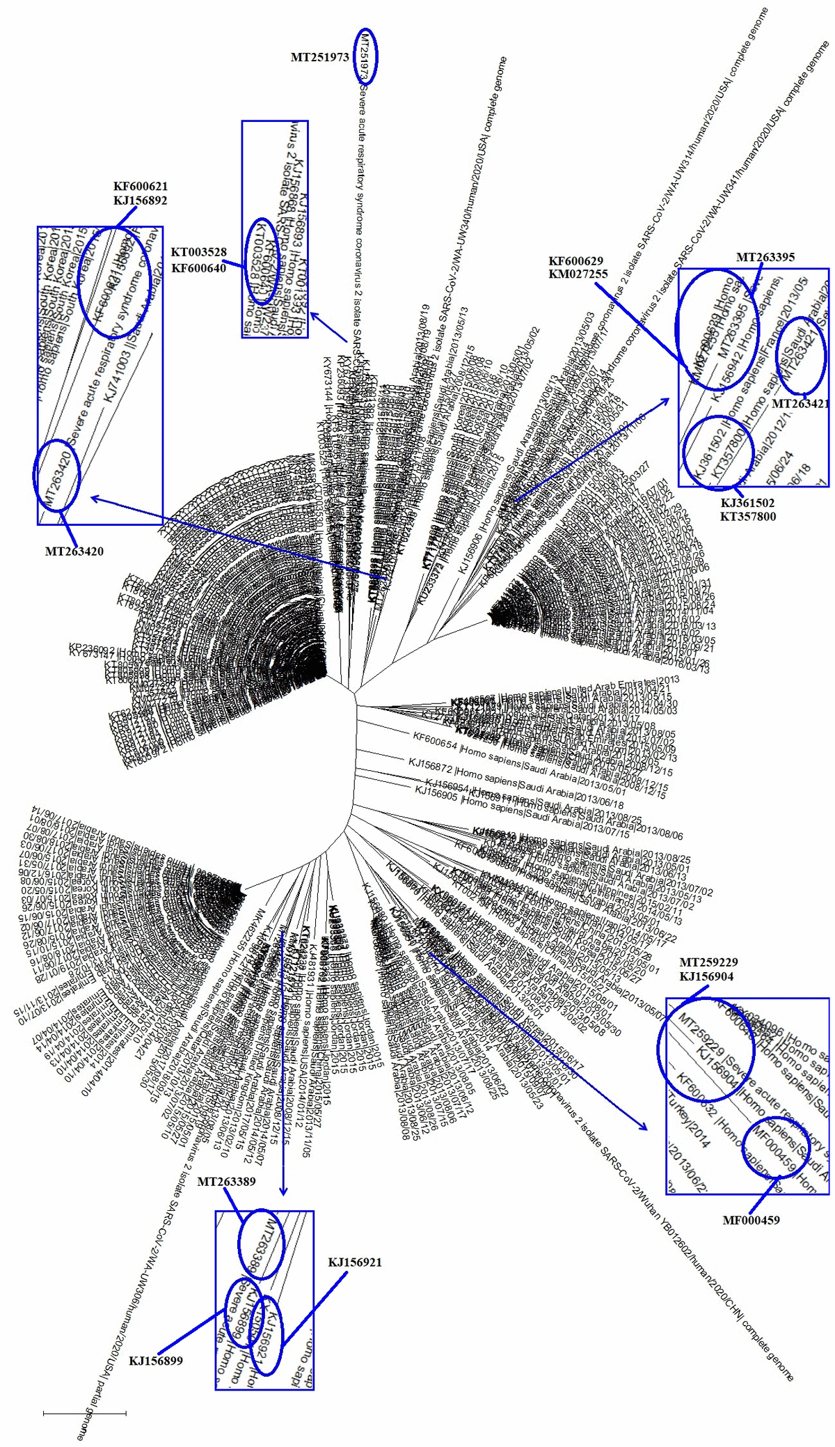 class="figure-viewer-img"