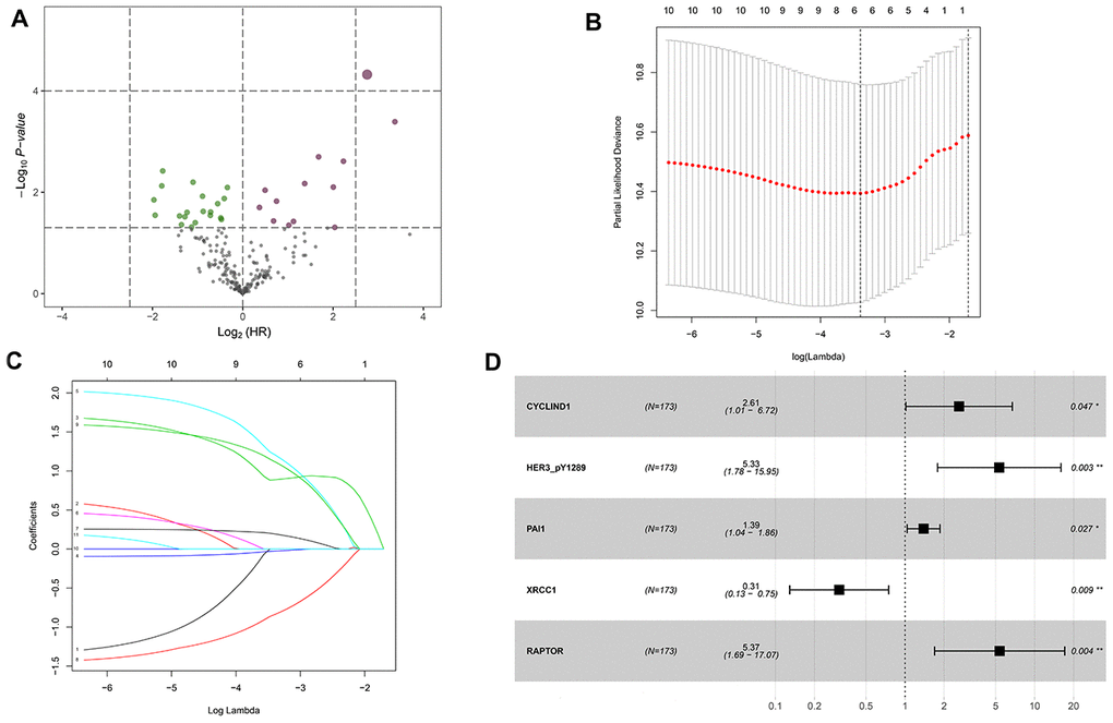 Identification of the overall survival (OS)-associated proteins in the TCPA discovery cohort. (A) Volcano plot of proteins that are significantly associated with OS of HNSCC. Y-axis indicates the p values (-log10 scale), whereas the X-axis shows the hazard ratio (log2 scale). Each symbol represents a different protein, and the dark red and green symbols categorize the risky (n=13) and protective (n=20) proteins, respectively. (B) Tuning parameter (logλ) selection cross-validation error curve for OS-associated proteins. The vertical dotted line is drawn at the optimal value by the minimum criteria and the 1-SE criteria. (C) The LASSO coefficient profile of 6 OS-related proteins and the vertical dotted line is drawn at the value chosen by 10-fold cross-validation. (D) Multivariate Cox proportional hazards regression analysis reveals five independent prognostic proteins of HNSCC patients in the discovery cohort.