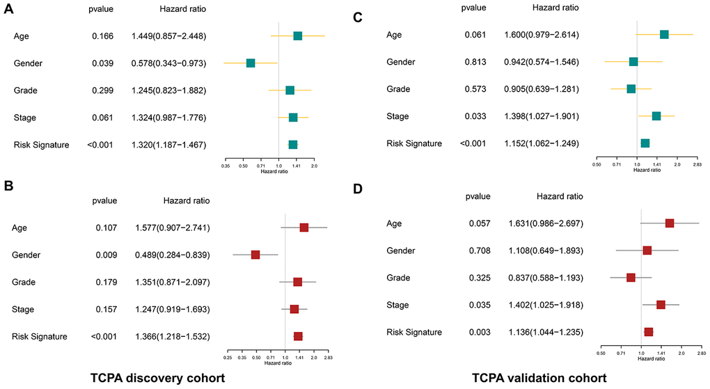 The protein-based risk signature is an independent prognostic factor both in the discovery and validation cohort. (A) The univariate analysis shows that the risk signature is significantly associated with OS of HNSCC in the discovery cohort. (B) The multivariate analysis demonstrates the risk signature is an independent prognostic factor in the discovery cohort. (C, D) Similar findings are observed in the validation cohort.