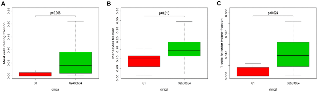 Immune infiltration in patients with different Huvos necrosis grades. The results are shown for resting mast cells (A), monocytes (B) and follicular helper T cells (C). G1, chemotherapy is invalid; G2&G3&G4, chemotherapy is effective. The P values were obtained using the Wilcoxon signed rank test in R software.