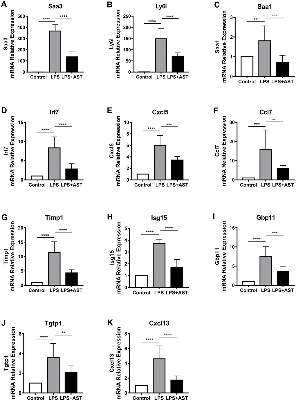 Changes in the expression of 11 core genes (A-K: Saa3, Ly6i, Saa1, Irf7, Cxcl5, Ccl7, Timp1, Isg15, Gbp11, Tgtp1, and Cxcl13) in the lungs of an established mouse model. Quantitative real-time polymerase chain reaction (RT-qPCR) was conducted to quantify the relative expression of the 11 core genes in the control group (n = 4), LPS-induced ALI group (n = 4), and AST treatment group (n = 4). GAPDH was used as an internal control gene. The experiments were performed at least in triplicate. The error bars represent the SEM. Statistical analysis of significant differences between groups was achieved with one-way ANOVA using Prism 7 software. ****p 