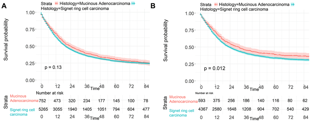 Survival of GC patients with SRC and MGC. (A) OS of SRC and MGC. (B) CSS of SRC and MGC.