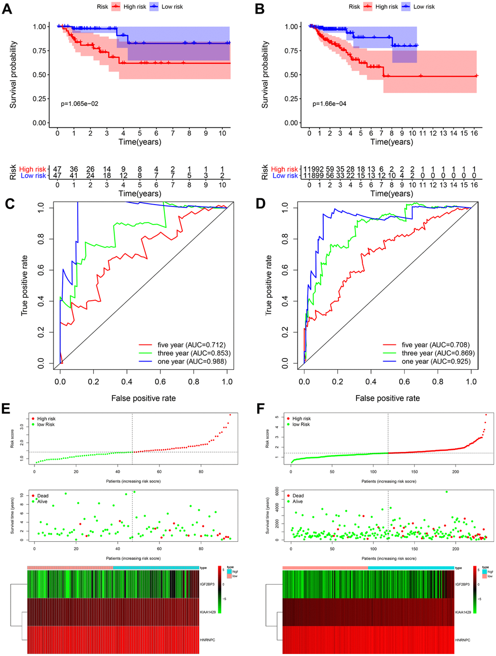 Validation of the prognostic risk signature in the testing cohort and entire cohort. (A) Kaplan-Meier curve analysis shows the overall survival rates of high-risk (n=47) and low-risk (n=47) KIRP patients in the testing cohort. (B) Kaplan-Meier curve analysis shows the overall survival rates of high-risk (n=119) and low-risk (n=118) KIRP patients in the entire TCGA cohort. (C, D) ROC curve analyses of the (C) testing cohort and (D) the entire TCGA-KIRP cohort show the false positive rate vs. true positive rate plots based on the prognostic risk signature. The AUC values for 1-year (blue), 3-year (green), and 5-year (red) survival rates are also shown. (E, F) The risk score distribution, survival status and prognostic risk gene expression in the (E) testing cohort and (F) entire TCGA-KIRP cohort is shown.