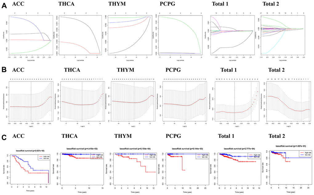 Risk signatures with three m6A RNA methylation regulators in endocrine system tumors. (A–C) The coefficients calculated by multivariate Cox regression using LASSO are shown, and Kaplan–Meier overall survival (OS) curve of patients was divided into high-risk and low-risk groups according to the risk score.