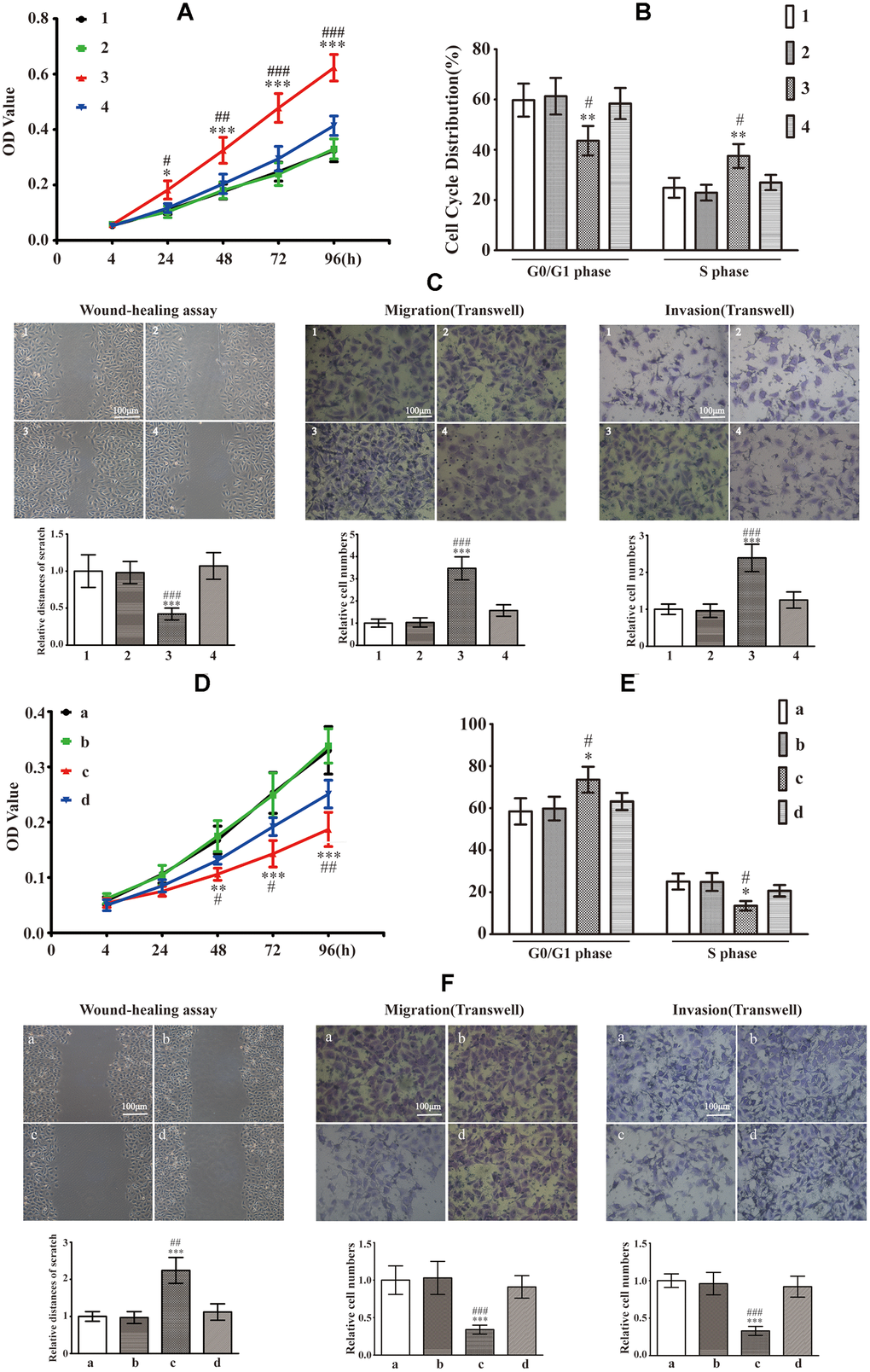 Effects of intracellular S100A9 on proliferation, migration and invasion in PA. (A) HP75 cell viability in control group (group 1), NC1 group (group 2), LV-S100A9 group (group 3) and LV-S100A9 + A-674563 group (group 4) was tested using CCK-8 after 24, 48, 72 and 96h. (B) The cell cycle distribution was determined by FCM in each of the four groups (groups 1, 2, 3, 4) after 96h. (C) Wound-healing assay and transwell system were used to measure the migration and invasion of HP75 cells in the four groups (groups 1, 2, 3, 4). (n=5. *P**P***P#P##P###PD) CCK-8 to observe the proliferation of HP75 cells in control group (group a), NC2 group (group b), S100A9-shRNA-LV group (group c) and S100A9-shRNA-LV + SC79 group (group d) for 24, 48, 72 and 96h. (E) The cell cycles were estimated in group a, b, c, and d using FCM. (F) The migration and invasion were also investigated using wound-healing assay and transwell system in groups a, b, c, and d. (n=5. *P**P***Pvs. group a. #P##P###Pvs. group d).