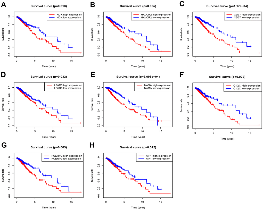 Overall survival of genes in Grade II/III glioma patients in the TCGA cohort. (A) HCK. (B) HAVCR2. (C) CD37. (D) LPAR5. (E) NAGA. (F) C1QC. (G) FCER1G. (H) AIF1.