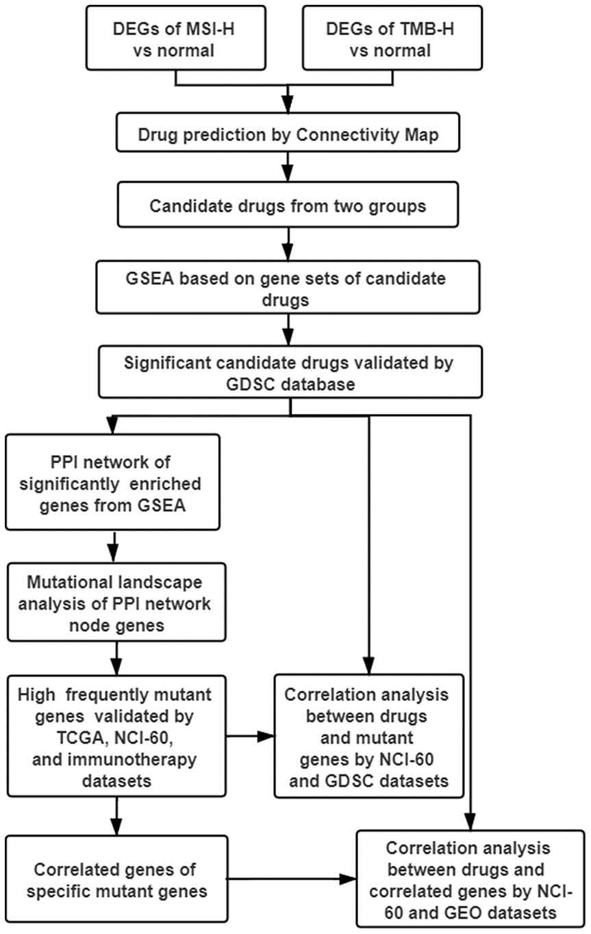 Work flow of the study. DEGs: differentially expressed genes; TMB-H: high tumor mutational burden; MSI-H: high microsatellite instability; GSEA: gene sets enrichment analysis; GDSC: genomics of drug sensitivity in cancer; PPI: protein-protein interaction; TCGA: The Cancer Genome Atlas; NCI-60: National Cancer Institute 60.