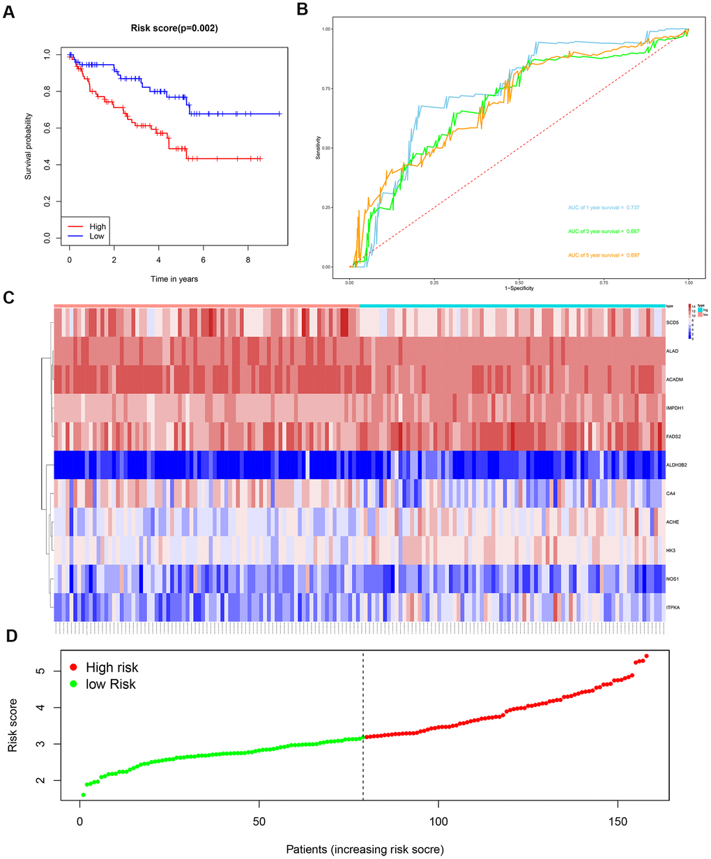 Risk score analysis of the 11 metabolic gene signature-based prognostic model in the test group ccRCC patients. (A) Kaplan-Meier survival curve analysis shows the overall survival of high- (n=79) and low-risk (n=79) test group ccRCC patients based on the median risk score calculated using the 11 metabolic gene signature-based prognostic model. (B) Time dependent ROC curve analysis shows the prognostic performance of the 11 metabolic gene signature-based prognostic model in predicting 1-year, 3-year, and 5-year survival times of the high- and low-risk test group ccRCC patients. (C) Heat map shows the expression of the 11 metabolic genes in high- and low-risk test group ccRCC patients. (D) Risk curve analysis of the 11 metabolic genes in high- and low-risk test group ccRCC patients.