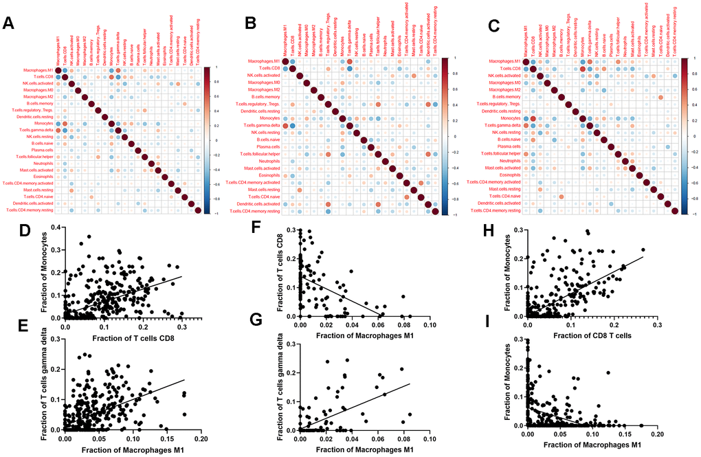 Correlation between different immune cell types. (A–C) Correlation between different immune cell types in the combined data of PDAC and ANT (A), ANT (B) and PDAC (C). (D–I) Scatter diagrams of immune cell fraction in PDAC and ANT (D, E), ANT (F, G) and PDAC (H, I).