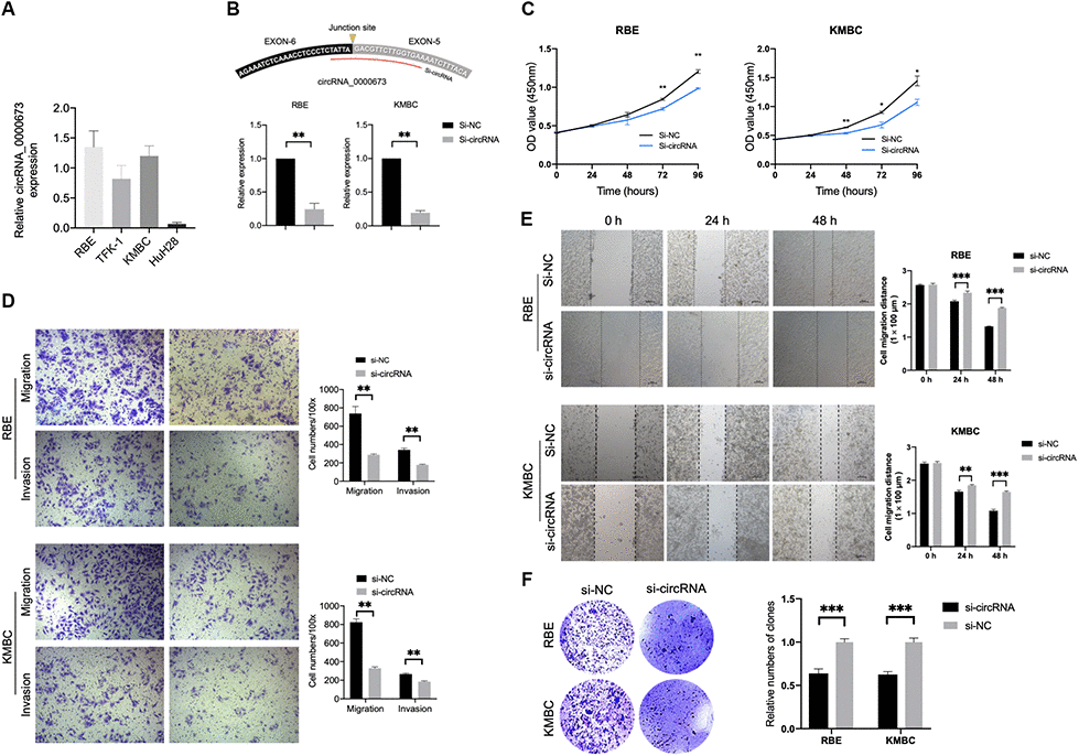 Inhibition of hsa