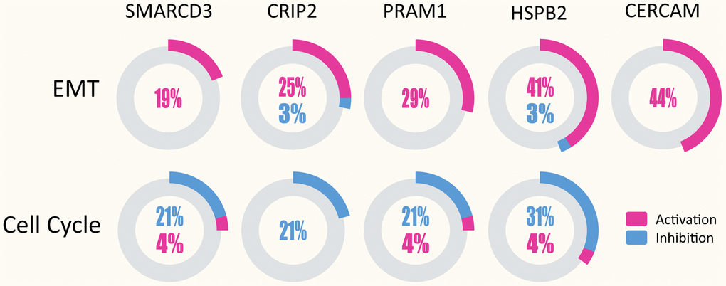 SMARCD3, CRIP2, PRAM1, HSPB2 and CERCAM could activate EMT in multiple cancer types (upper panel), while SMARCD3, CRIP2, PRAM1 and HSPB2 are associated with cell cycle inhibition (lower panel).