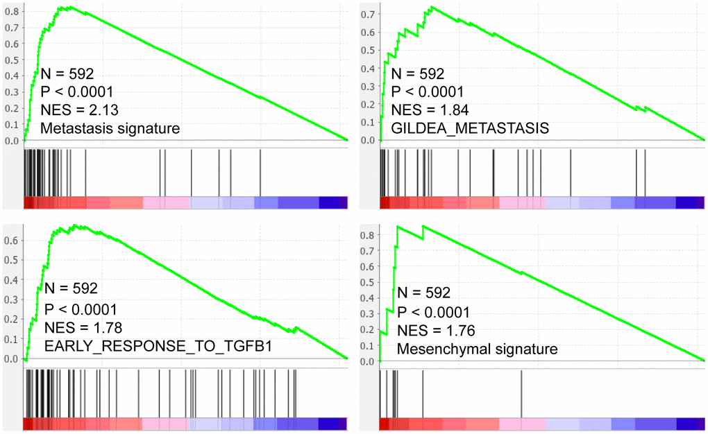 SMARCD3 expression is positively correlated with metastasis, TGF-β pathway activation and Mesenchymal signatures.