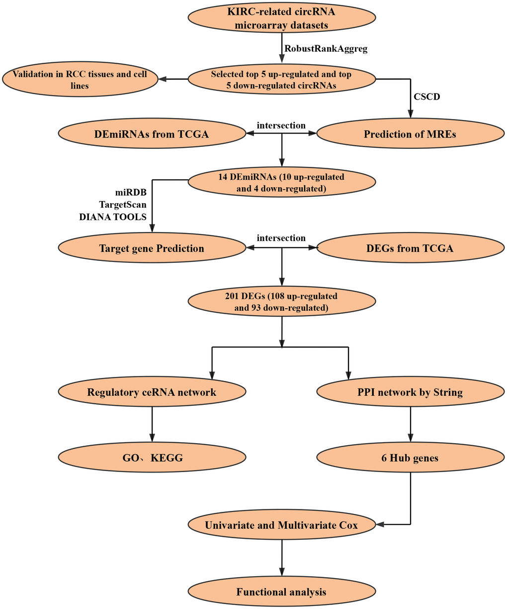 Flow chart of research design.