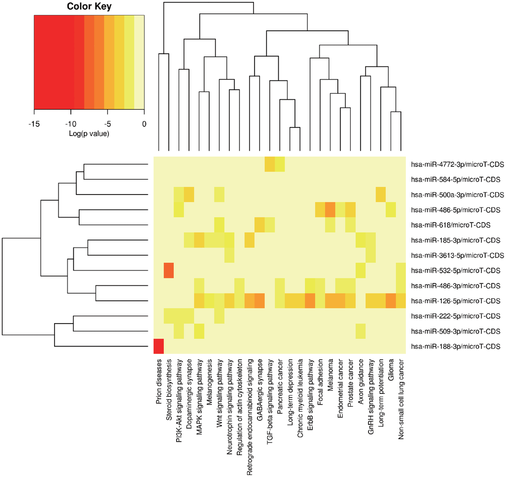 The potential signal pathways 13 miRNAs may be involved in predicted via miRPath.