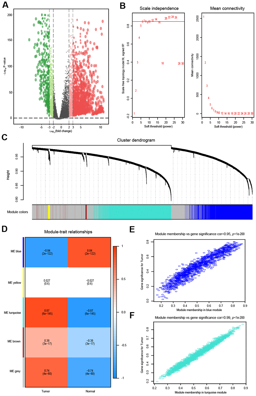 Differential expression analysis and weighted correlation network analysis for the lncRNAs. The volcano plots of differentially expressed lncRNAs. The green dots indicate significantly downregulated genes, the red dots indicate significantly upregulated genes, while the black dots indicate genes with no significant difference. (A) Identification of the soft threshold according to the standard of the scale-free network. The red line represents the threshold line of 0.85. (B) Clustering dendrogram of lncRNAs with dissimilarity based on the topological overlap together with assigned module colors. (C) Relationships between lncRNA modules and clinical traits. The correlation coefficient (upper number) and the corresponding P-value (lower number) in each cell resulted in the correlation between the lncRNA module and the clinical trait. (D) The scatterplot of gene significance vs. module membership in the lncRNA-based blue module. (E) The scatterplot of gene significance vs. module membership in the lncRNA-based turquoise module. (F) The scatterplot of gene significance vs. module membership in the lncRNA-based blue module.