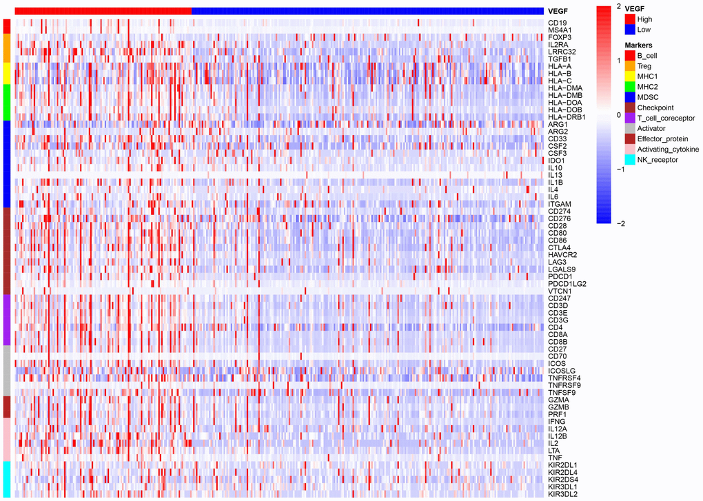 The high VEGF score subtype showed a higher expression of 66 immune markers associated with immune stimulation or suppression.