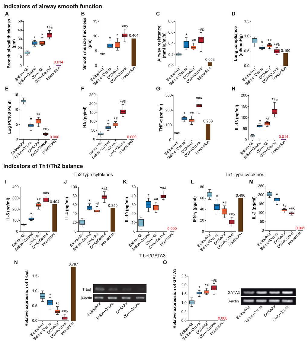 The contribution of ozone exposure to airway smooth function and Th1/Th2 balance of asthmatic mice. (A–E) The bronchial wall thickness (A), smooth muscle thickness (B), airway resistance (C), lung compliance (D) and Log PC100 Penh (E) of mice was examined among saline+air, saline+ozone, OVA+air and OVA+ozone groups. *: PPPF–H) Levels of HA (F), TNF-α (G) and IL-13 (H) were determined within mice of saline+air, saline+ozone, OVA+air and OVA+ozone groups. *: PPPI–O) The amounts of IL-5 (I), IL-4 (J), IL-10 (K), IFN-γ (L), IL-2 (M), T-bet (N) and GATA3 (O) were determined within mice treated by saline+air, saline+ozone, OVA+air and OVA+ozone. *: PPP