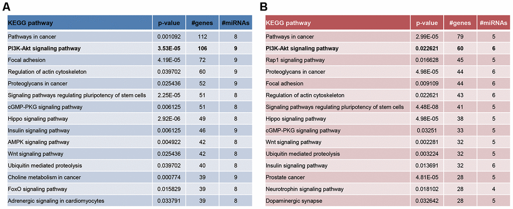 The enrichment pathways of significantly-expressed miRNAs in CD4+ T cells (A) and ASMCs (B) were drawn based on miRPath software.