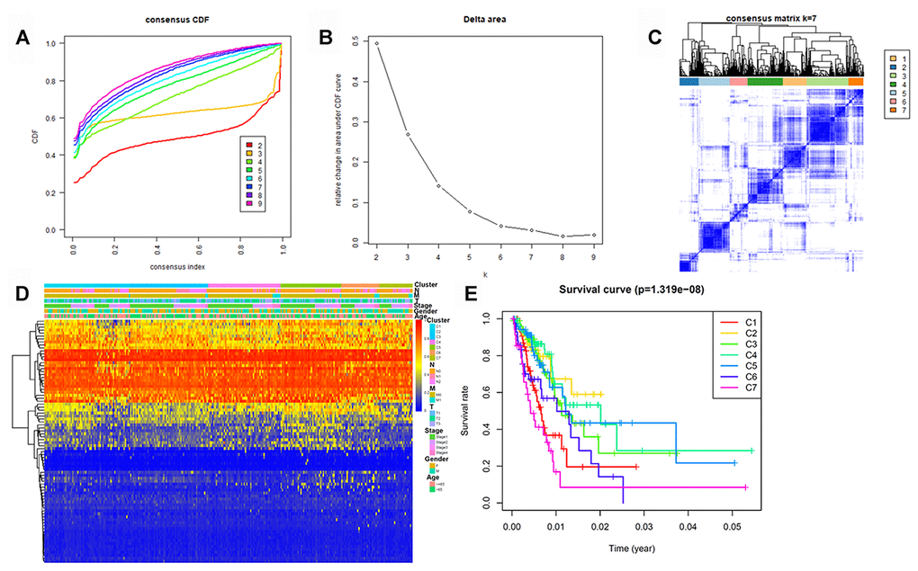 Identification of DNA methylation-based clusters in LUAD samples. (A) Consensus among DNA methylation-based clusters for each category number k. (B) Delta area curve of consensus clustering. (C) Consensus clustering of LUAD samples with k = 6. (D) Heatmap of LUAD methylation differences between each DNA methylation subtype. (E) Kaplan–Meier survival curves of LUAD in each DNA methylation subtype. LUAD, lung adenocarcinoma.