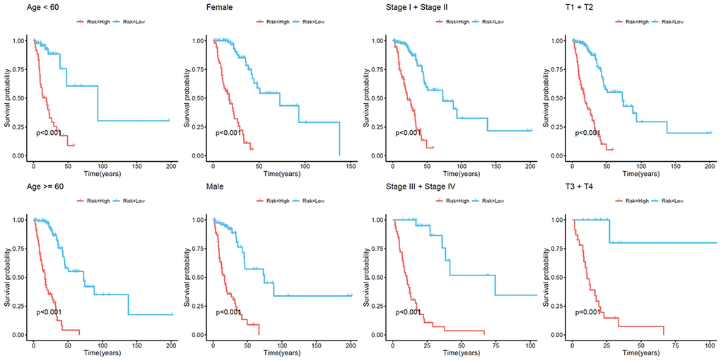 Kaplan–Meier analysis of overall survival for patients with LUAD. Patients were classified according to age (age 