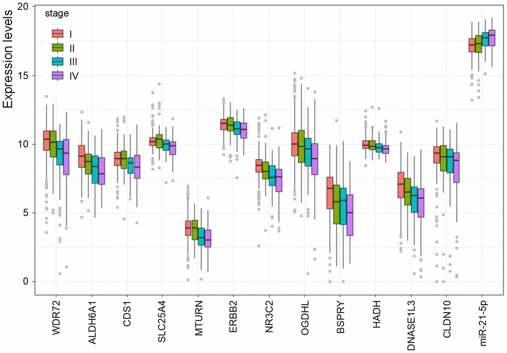 The association of the prognostic biomarkers and clinical stages. Lower levels of the 12 coding genes were observed in higher clinical stages. However, the level of hsa-miR-21-5p was elevated in higher clinical stages.