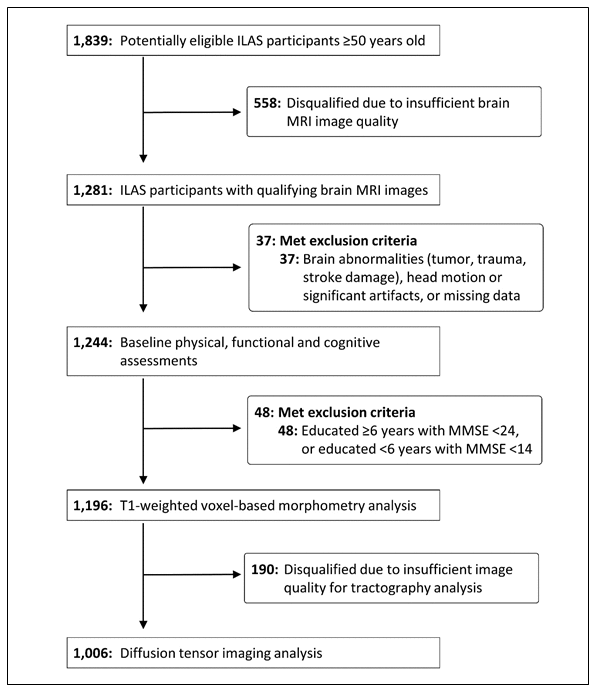 Study participant selection. ILAS = I-Lan Longitudinal Aging Study; MMSE = Mini-Mental State Examination.