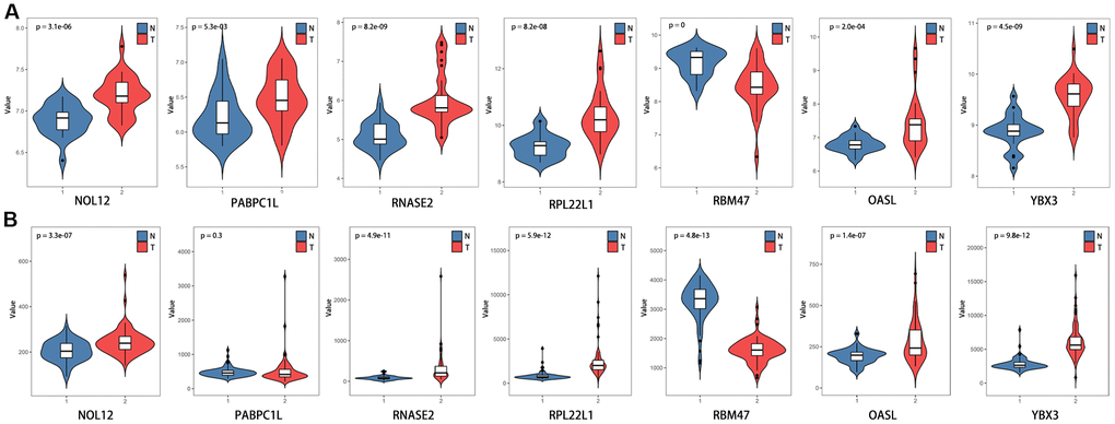 Verification of target RBP expression in KIRC and normal tissues using the GEO database. (A) GSE36895, (B) GSE53757.