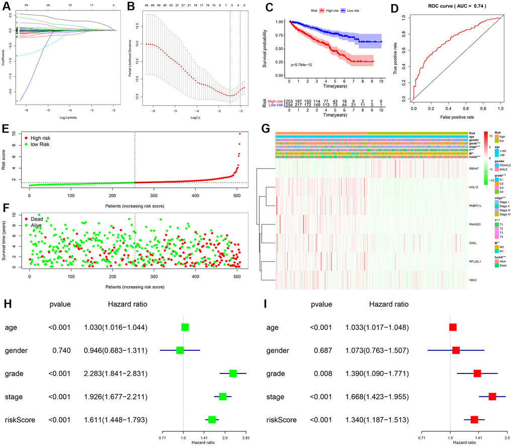 Construction and validation of prognostic risk score for KIRC patients. (A, B) Selection process for target RBPs using LASSO Cox regression analysis. (C) Kaplan-Meier curve showing that OS is significantly shorter for patients in the high-risk group than those in the low-risk subgroup. (D) ROC curve analysis showing the veracity and reliability of the prognostic model. (E) Risk score distributions. (F) Scatter plot showing the distribution of survival status and survival time. (G) Grade, AJCC stage, T stage, M stage, and survival status differ significantly between the high- and low-risk groups. Univariate (H) and multivariate (I) Cox regression analysis of associations between clinical parameters (including risk score) and overall survival of KIPC patients.