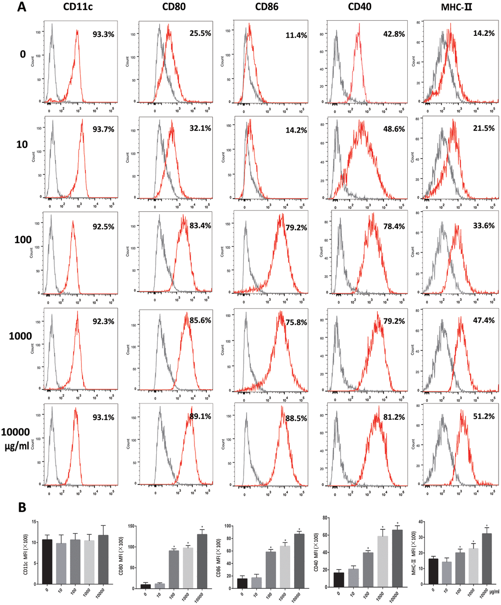 OVA induces DCs maturation. Immature DCs were cultured in the presence of 0, 10, 100, 1000, 10000μg/ml OVA for 24 h. (A). Expression of maturation-related markers on matured DCs (CD11c, CD80, CD86, CD40, MHC-II. Gray shading in histograms represents isotype controls. (B). Summary of the mean fluorescence intensity (MFI) of the indicated surface markers. Data indicate the mean±SD, n = 4. *p