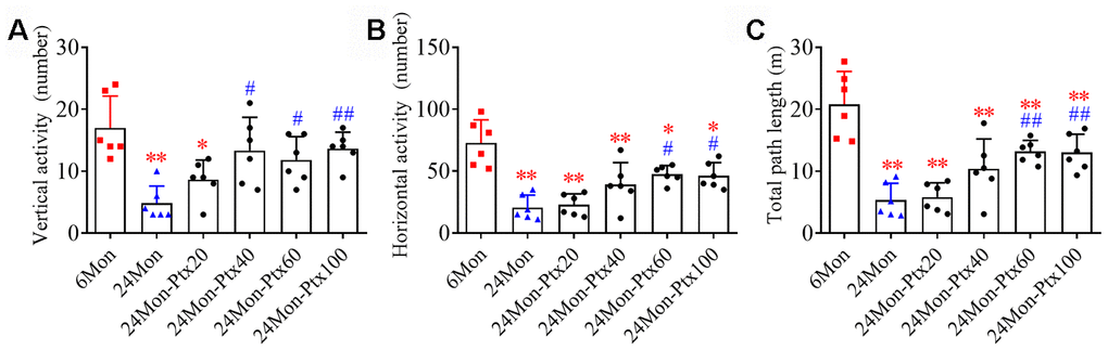 Effects of PTX treatment on motor behavior deficits in aged rats. (A) Effects of PTX treatment on vertical activity. (B) Effects of PTX treatment on horizontal activity. (C) Effects of PTX treatment on total path length. Data are expressed as the mean ± S.D. (n=6 rats/group). *PP#P##P