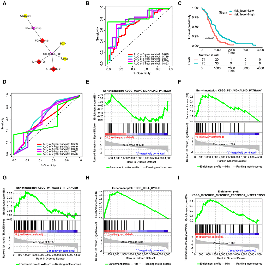 Construction of the prognostic signature based on the survival-specific ceRNA network and GSEA. (A) Hub ceRNA network. Notes: Red diamonds represent upregulated lncRNAs, purple arrows represent miRNAs, and gold circles represent upregulated mRNAs. (B) ROC curve analyses based on the signature. (C) KM curves of OS based on the signature. (D) ROC curve analyses based on the traditional TNM pathological staging system. (E–I) GSEA. Notes: H denotes a high signature score, while L denotes a low signature score.