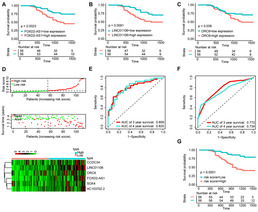 Validation of the signature by qRT-PCR (n=112). KM survival curves of FOXD2-AS1 (A), LINC01106 (B), and ORC6 (C); (D) Correlation between the prognostic signature and the OS of patients in the qRT-PCR cohort. Distribution of the signature scores (top), survival times (middle) and lincRNA expression levels (bottom). Black dotted lines represent the median signature score (cut-off) that was used to divide patients into the low- and high-risk groups. Red dots and lines represent patients in the high-risk group. Green dots and lines represent patients in the low-risk group. (E) ROC curve analyses based on the signature. (F) ROC curve analyses based on the traditional TNM pathological staging system. (G)KM curves of OS based on the signature.