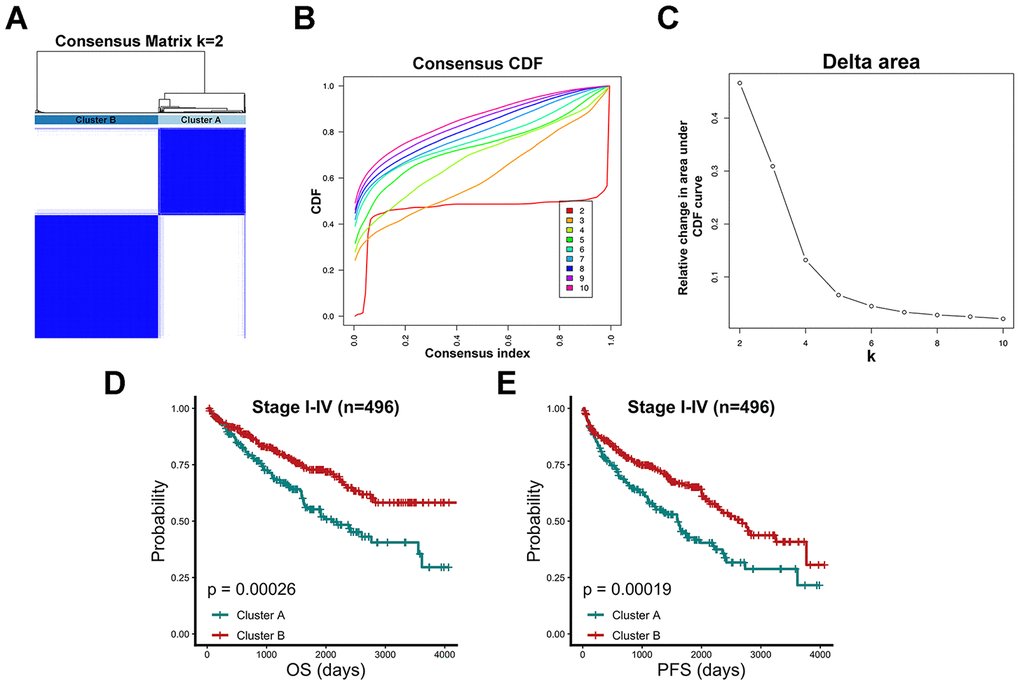 Consensus clustering algorithm identified two clusters with prognostic value. (A) 496 TCGA-KIRC patients were group into a consensus matrix with Cluster A (n=206) and Cluster B (n=290) based on 86 chromatin-remodeling factors and consensus clustering algorithm. (B) Consensus matrix among cumulative distribution function (CDF) curves from 2 to 10 clusters. (C) Relative changes in delta area under the CDF curve for each k category from 2 to 10. (D) Comparison of overall prognostic differences between Cluster A and Cluster B upon all stage patients. (E) Comparison of progression-free prognostic differences between Cluster A and Cluster B upon all stage patients.