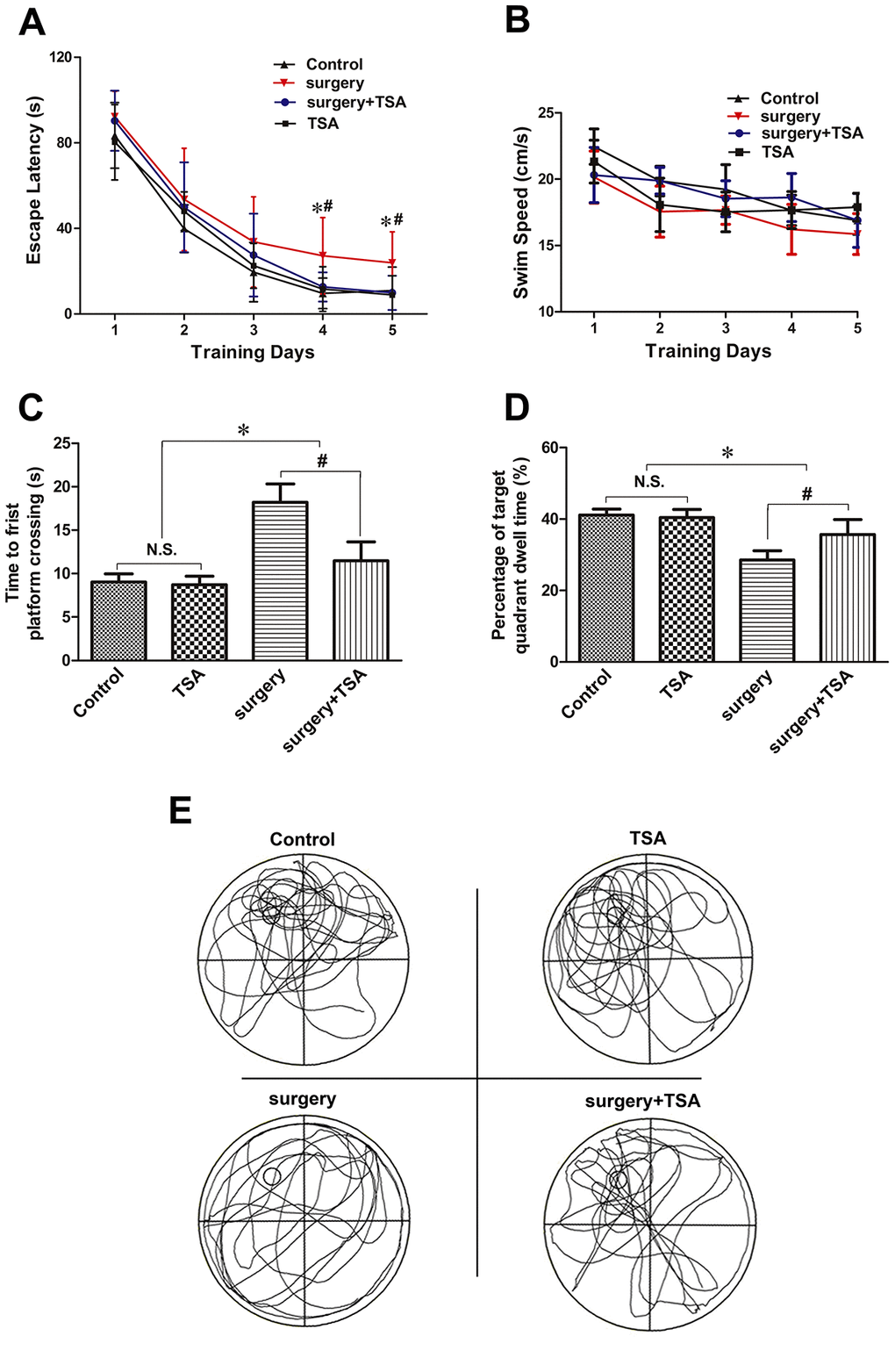 TSA can mitigate surgery-induced spatial learning and memory impairments in aged rats. (A, B) Acquisition trials demonstrating latencies for rats to locate the hidden platform during the 5 testing days (A) and the swimming speed (B), measuring spatial information acquisition. (C, D) On test day 6, probe trials demonstrating the time to first platform crossing (C) and time spent in the target quadrant (D), measuring memory retention capabilities. (E) Representative searching swimming paths of four aged rats with different treatments in the probe trial tests. Data are given as means {plus minus} SEM, n = 12. *P 