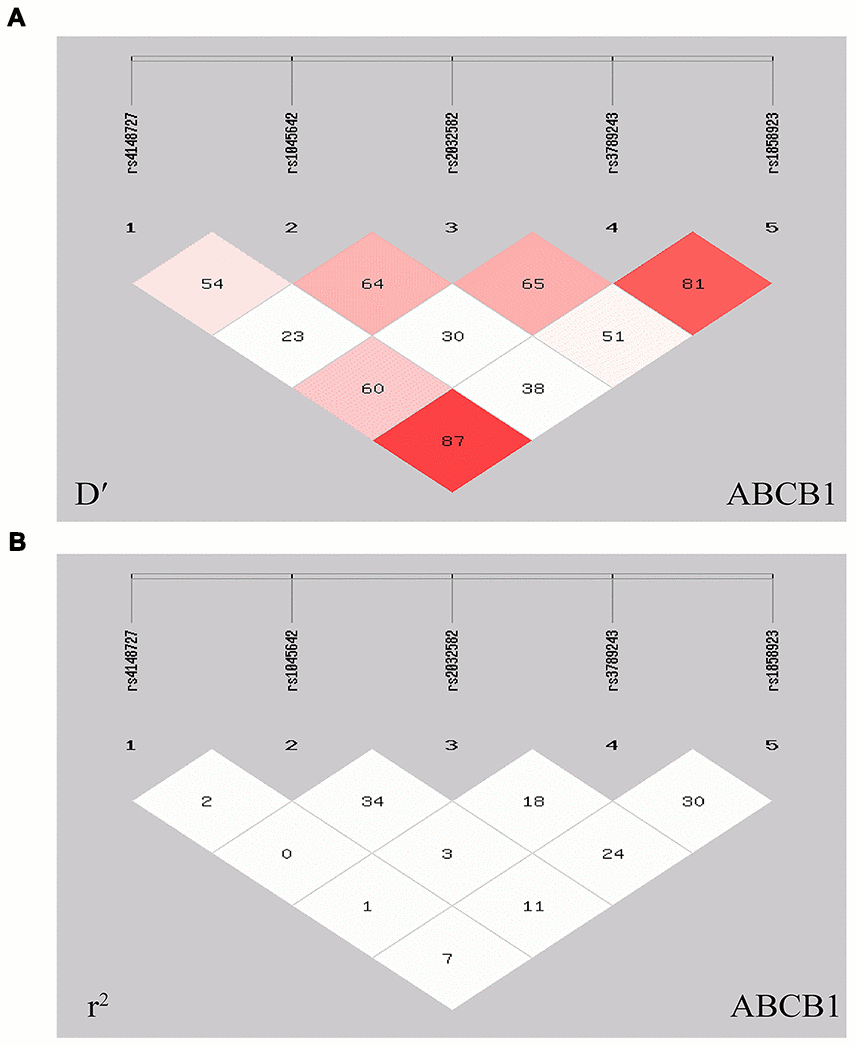 Linkage disequilibrium plot and r2 values for five polymorphisms of the ABCB1 gene. (A) D′ plot of five polymorphic linkage disequilibrium. (B) r2 plot of five polymorphic linkage disequilibrium. Linkage disequilibrium was detected in the rs3789243 and rs1858923 polymorphisms ((r2 = 0.310, D′ = 0.815), rs1858923 and rs4148727 polymorphisms (r2 = 0.070, D′ = 0.872).