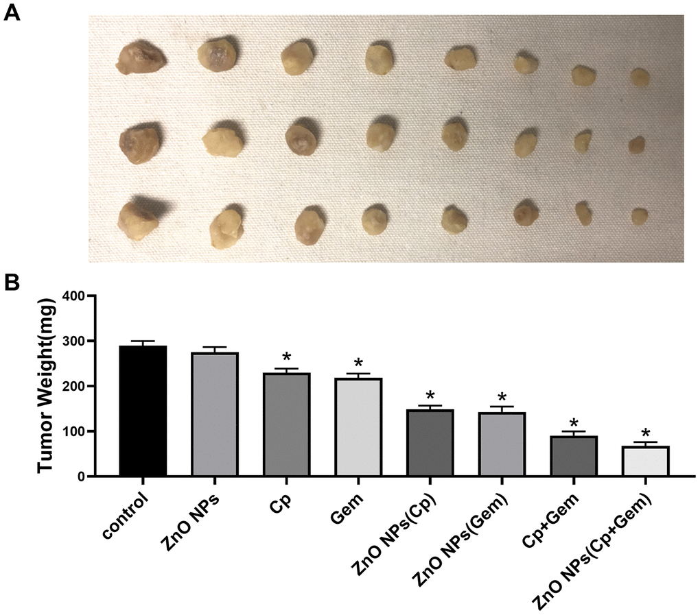 Anti-tumor activity of ZnO-NPs in vivo. (A) image of subcutaneous xenograft tumors.(B) Tumor weight. * P